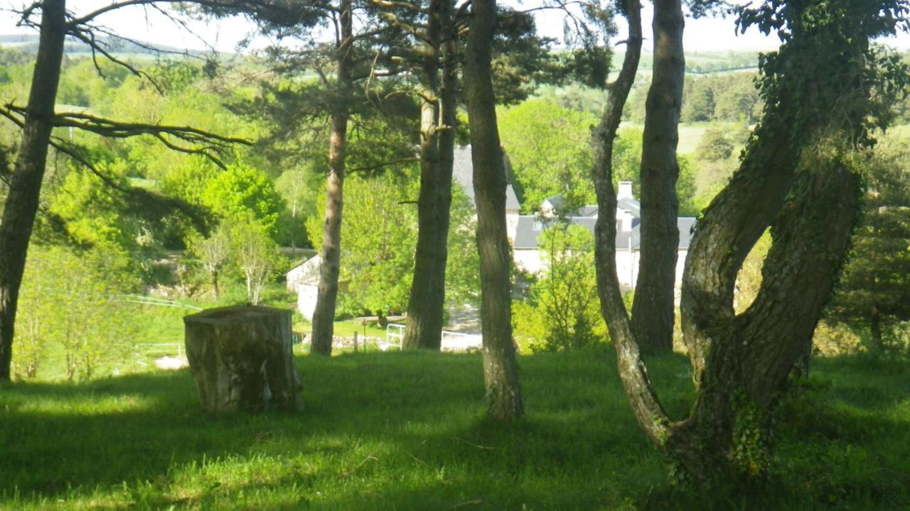 Saint-Léons Mas De La Boheme - L'Hermet المظهر الخارجي الصورة